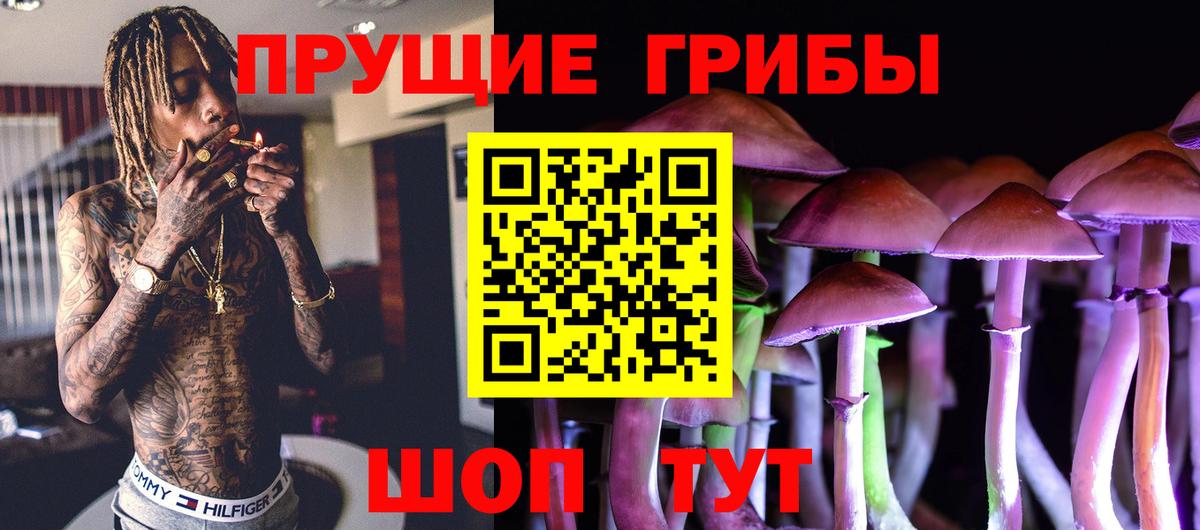 Шелехов  Псилоцибиновые грибы Psilocybine cubensis  Вход с VPN 
